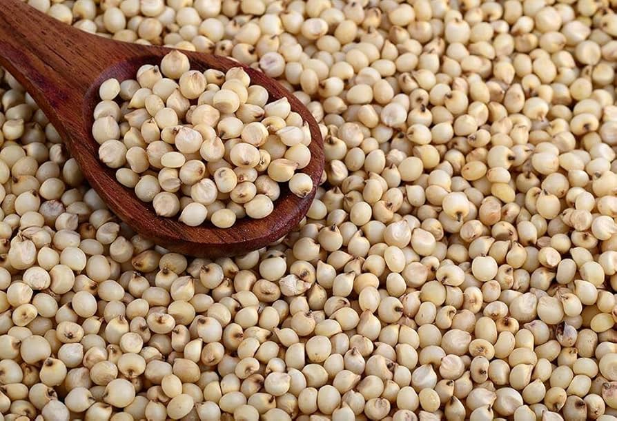 Jowar