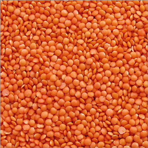 Masoor Dal