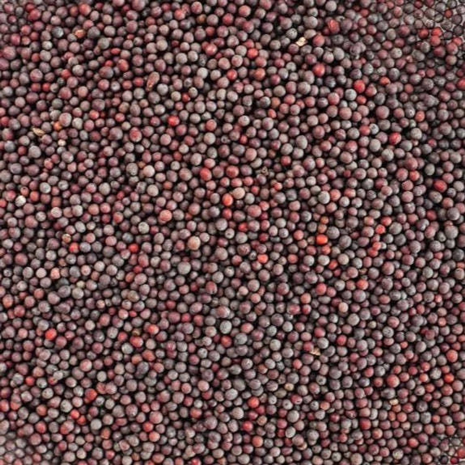 Mustard Seeds